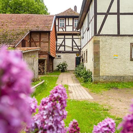 Forsthaus Halbemark Bad Sooden-Allendorf Ngoại thất bức ảnh
