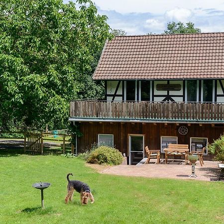 Forsthaus Halbemark Bad Sooden-Allendorf Ngoại thất bức ảnh