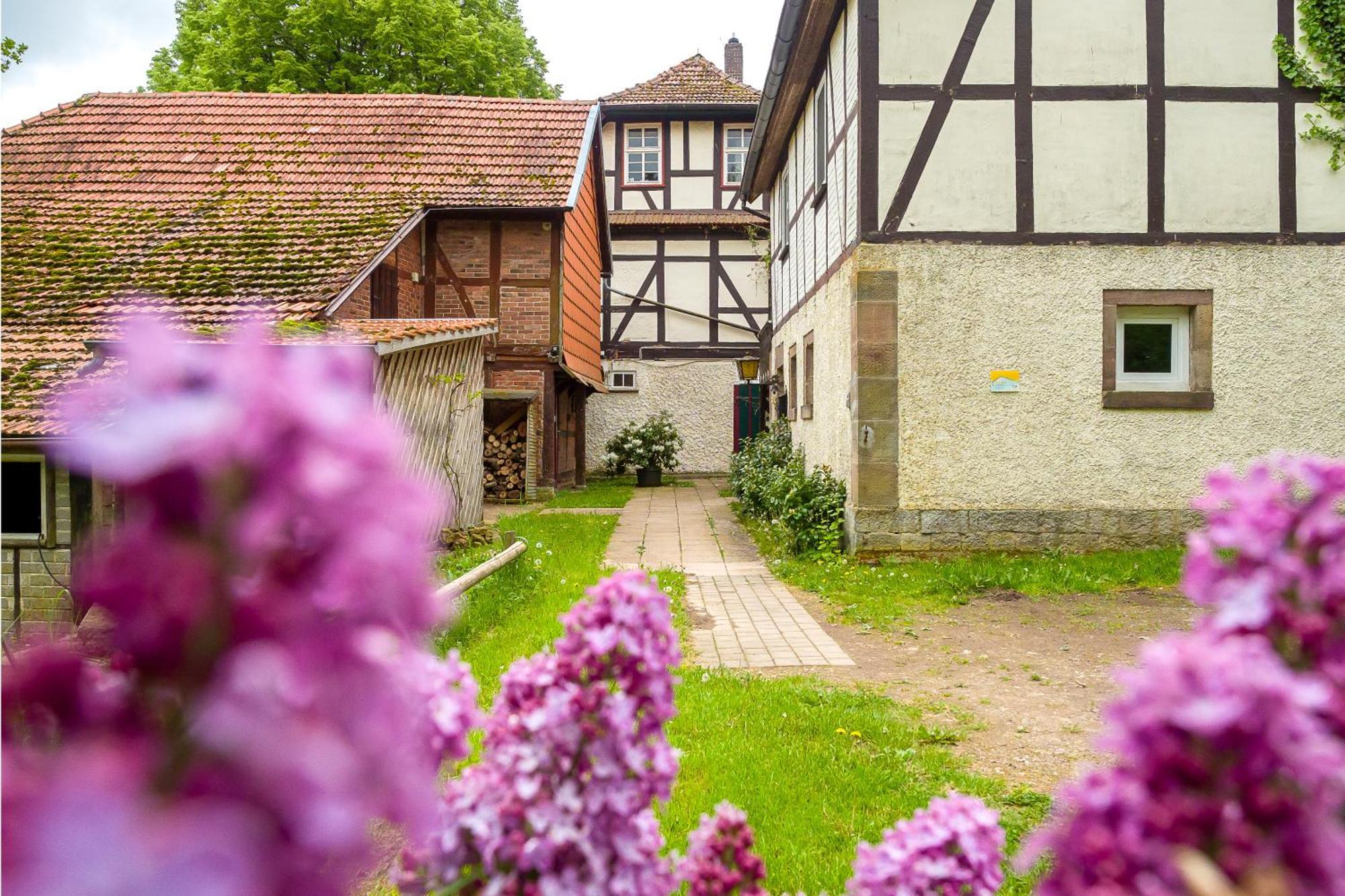 Forsthaus Halbemark Bad Sooden-Allendorf Ngoại thất bức ảnh