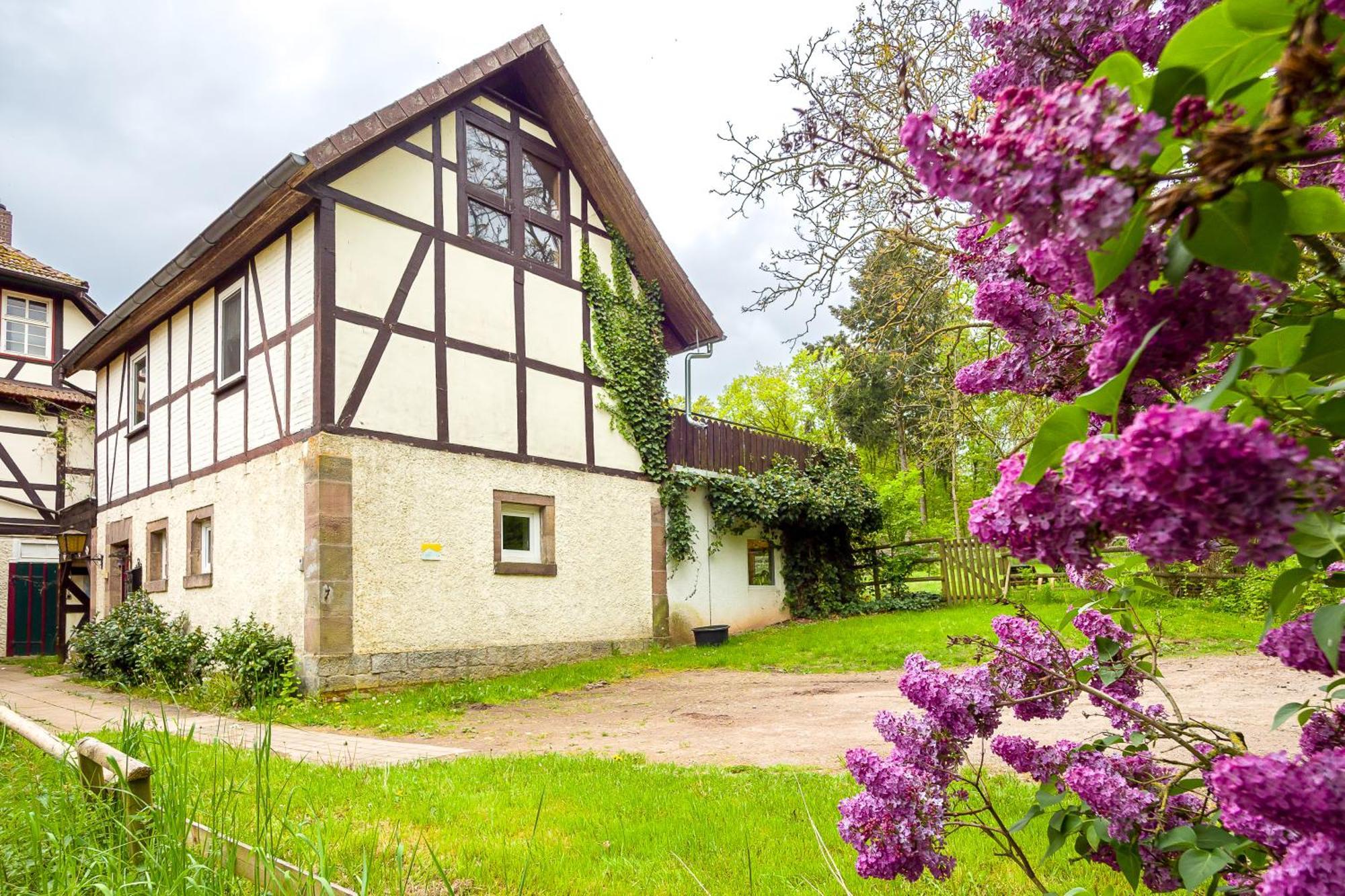 Forsthaus Halbemark Bad Sooden-Allendorf Ngoại thất bức ảnh